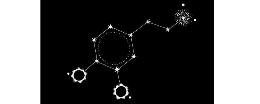 Understanding Moles In A Molecular World