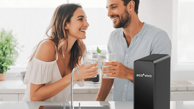 Troubleshooting &amp; Maintaining Under-Sink RO Water Filter Systems