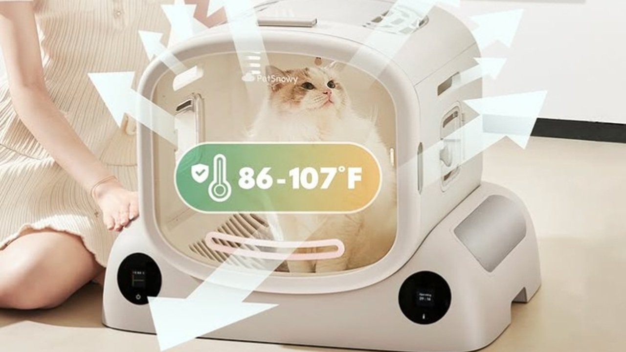 How a Cat Dryer Box Makes Grooming Easier Than Ever