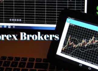 Forex Broker Ranking – How to Select a Forex Broker