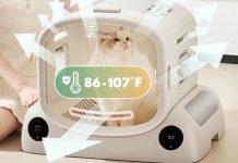 How a Cat Dryer Box Makes Grooming Easier Than Ever