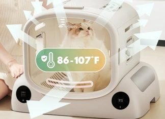 How a Cat Dryer Box Makes Grooming Easier Than Ever