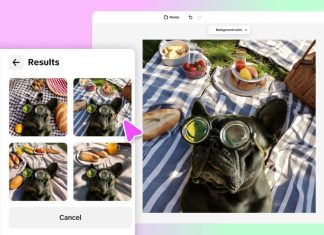 Create Quirky Animal and Meme Backgrounds in Minutes